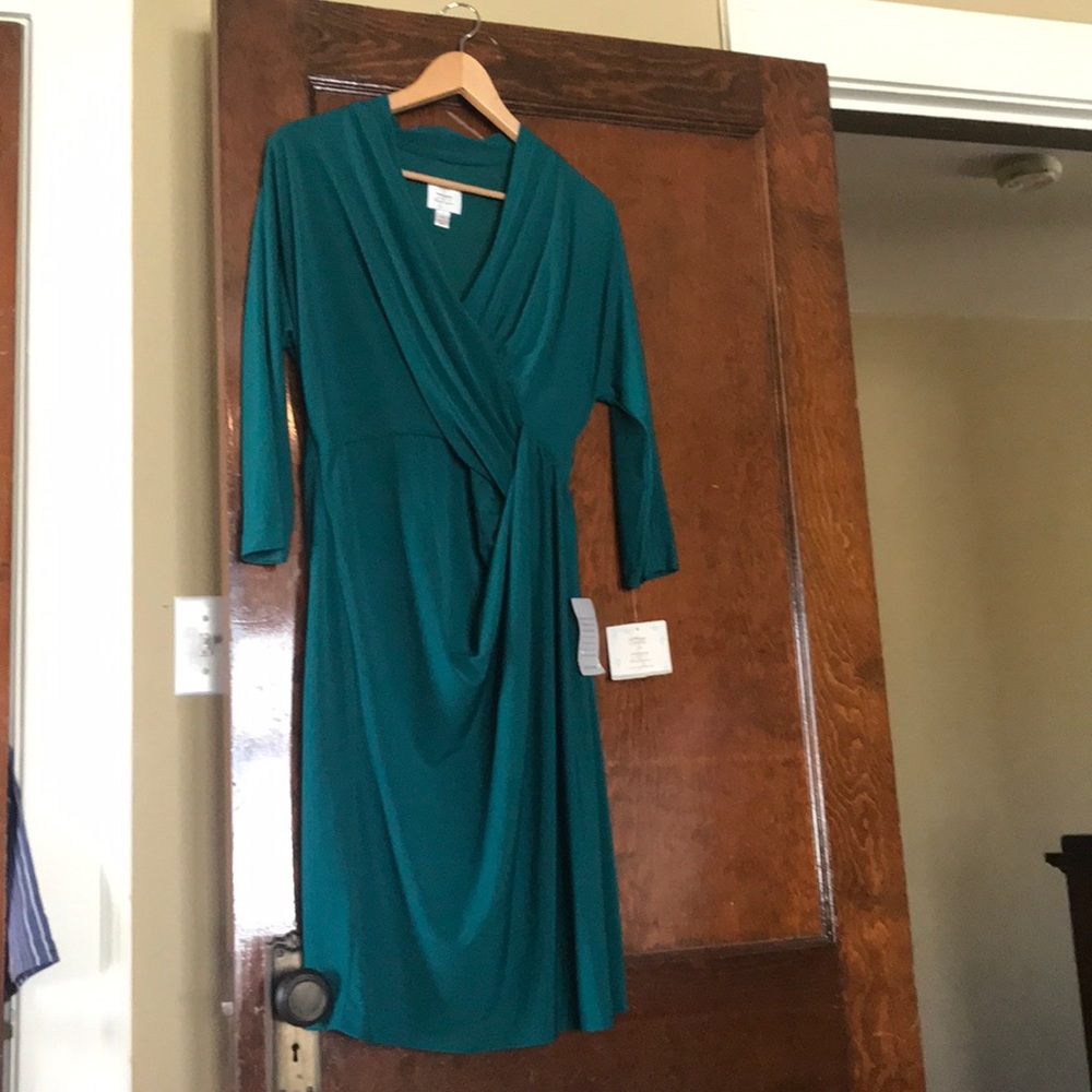 NWT Suzi Chin for Maggy Boutique Rainforest Dress